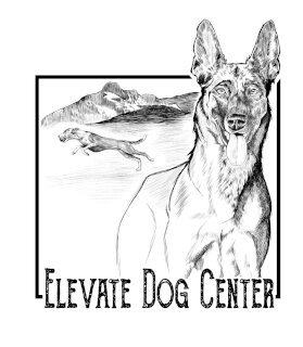 Elevate Dog Center