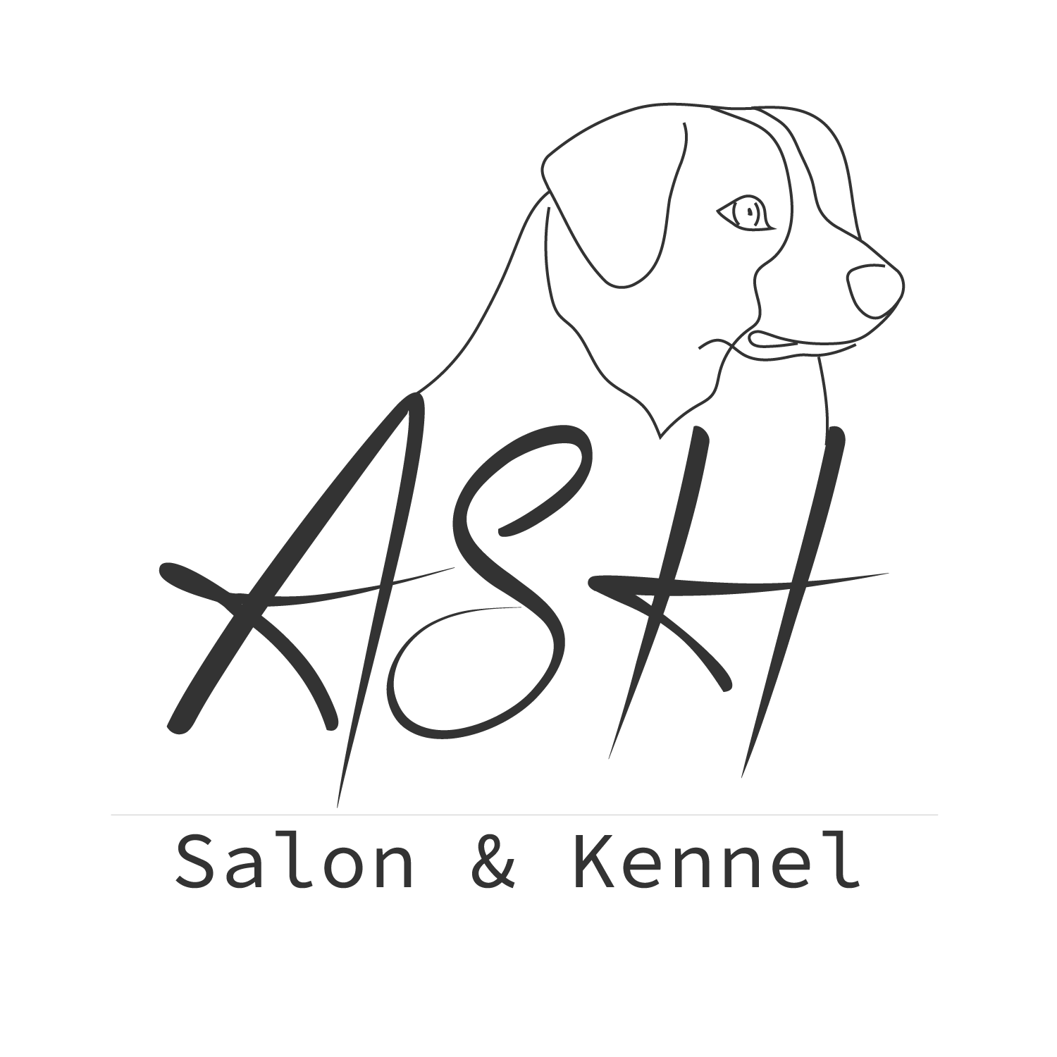 Salon ASH