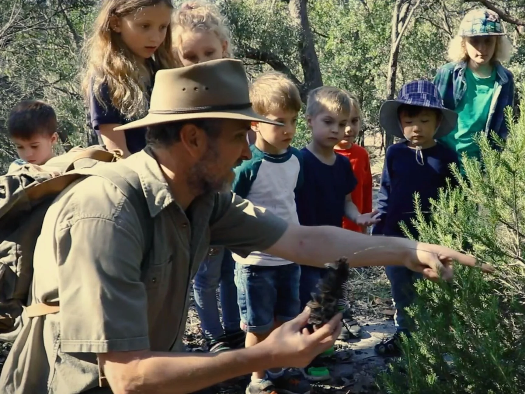 wildkids + banksia.jpg