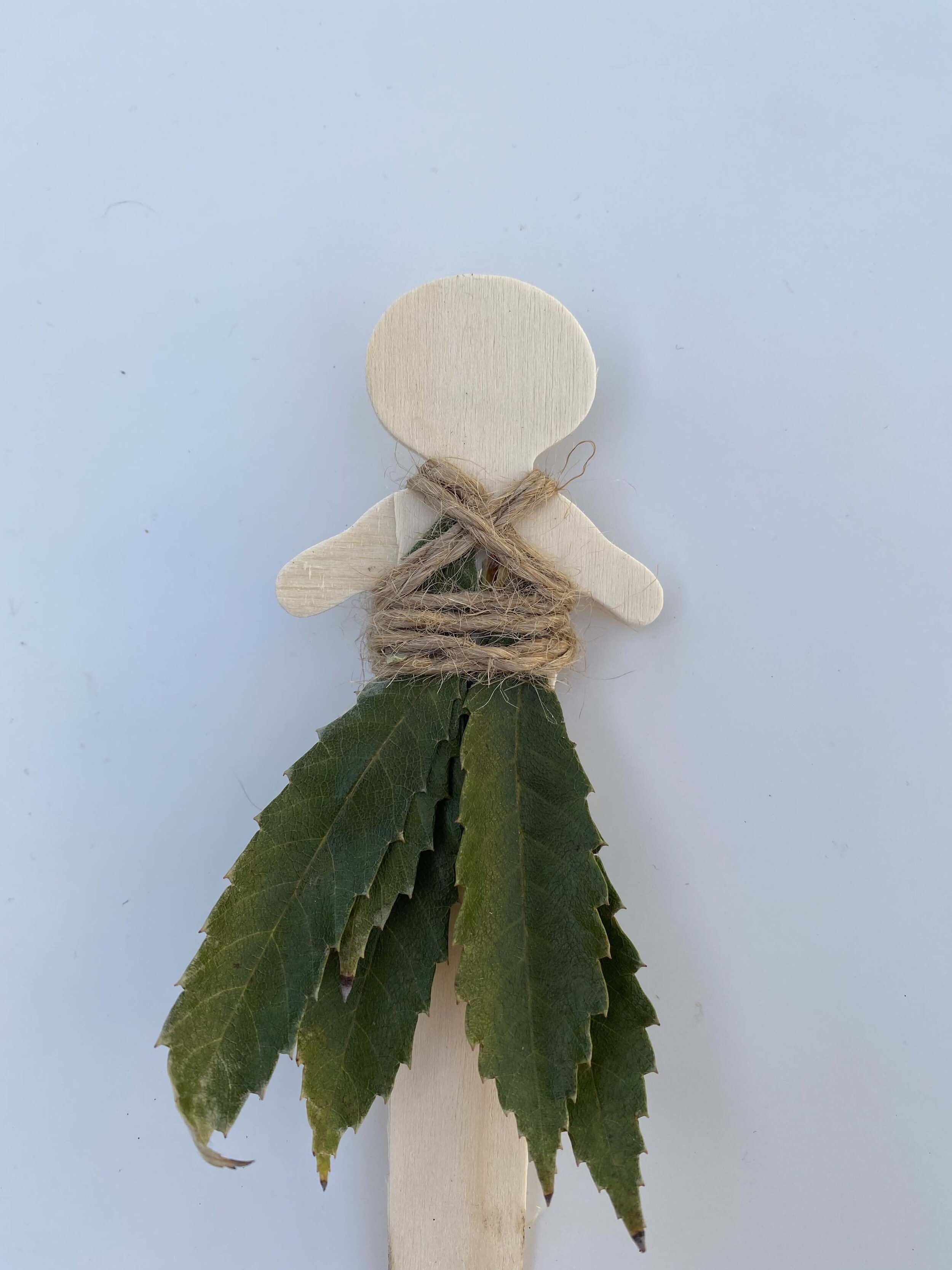 包裹起来是使叶子更安全的好方法。