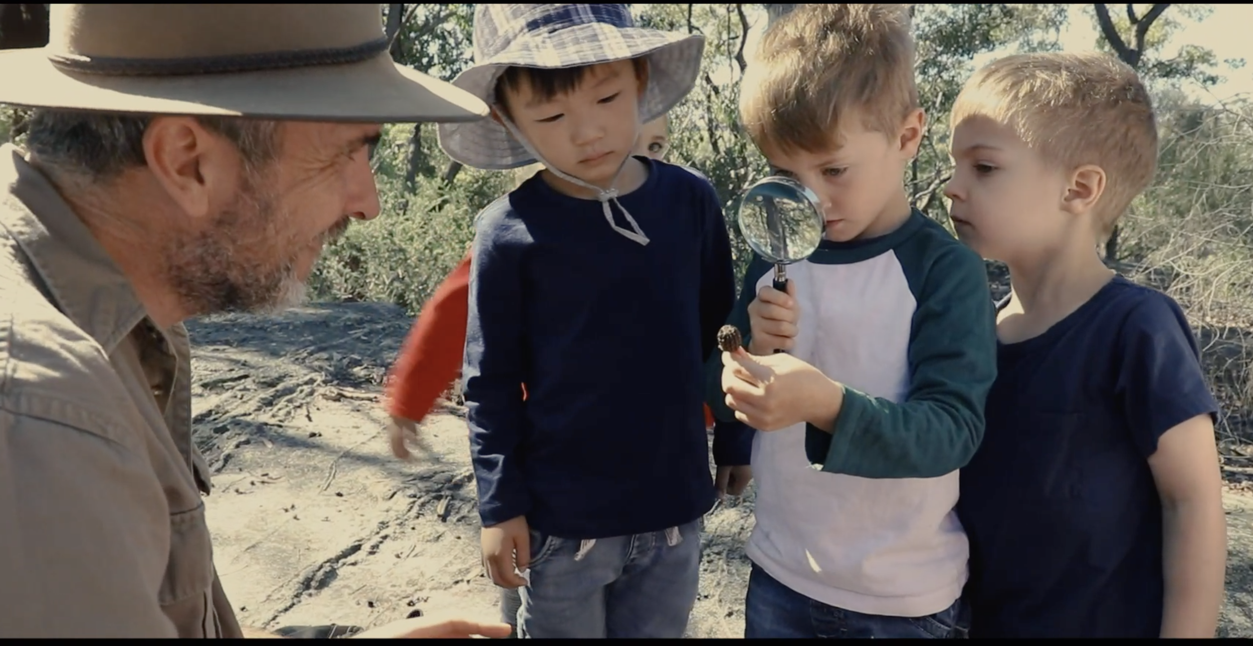 wildkids nature researchigatiors.png