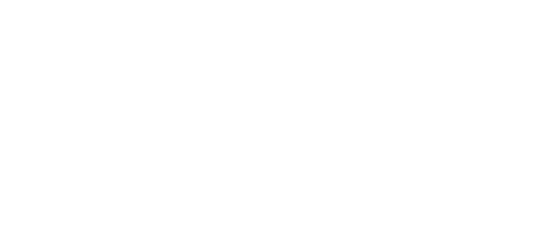 Indigenous Business Development Services 