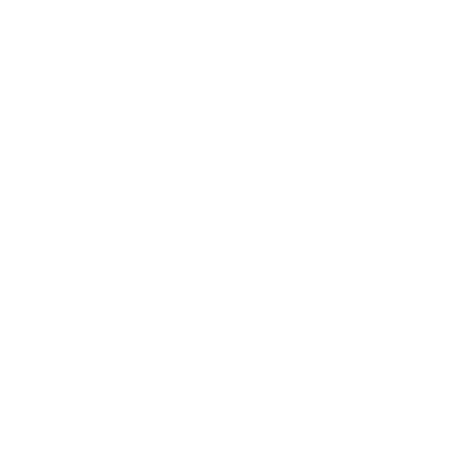 All Access Adventures