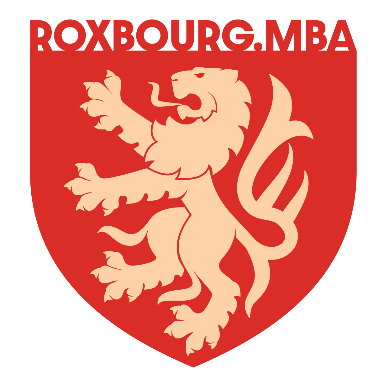 Roxbourg Institute of Social Entrepreneurship | Roxbourg.MBA Program