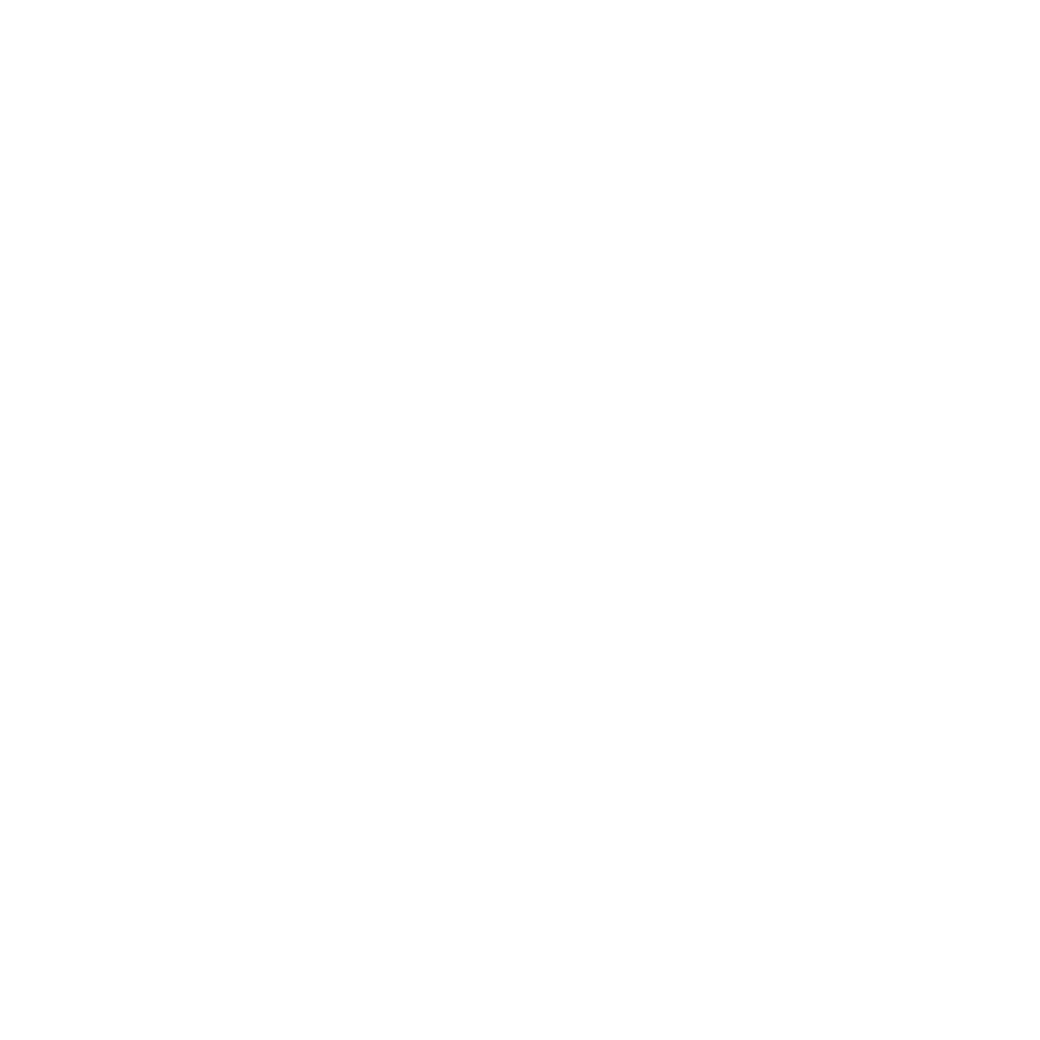 Salt Water Market