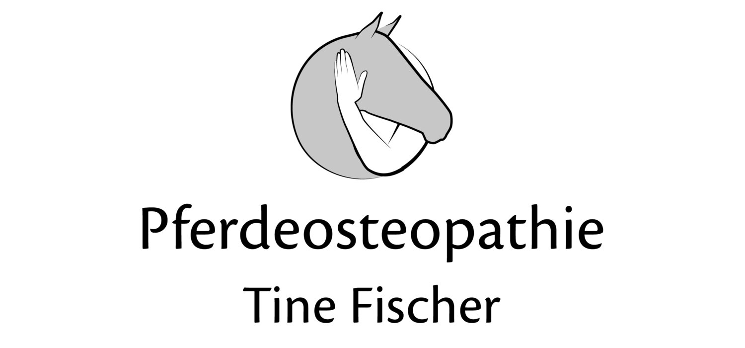 Pferdeosteopathie Tine Fischer