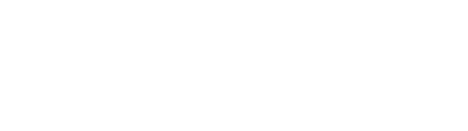 The Svane Family Foundation