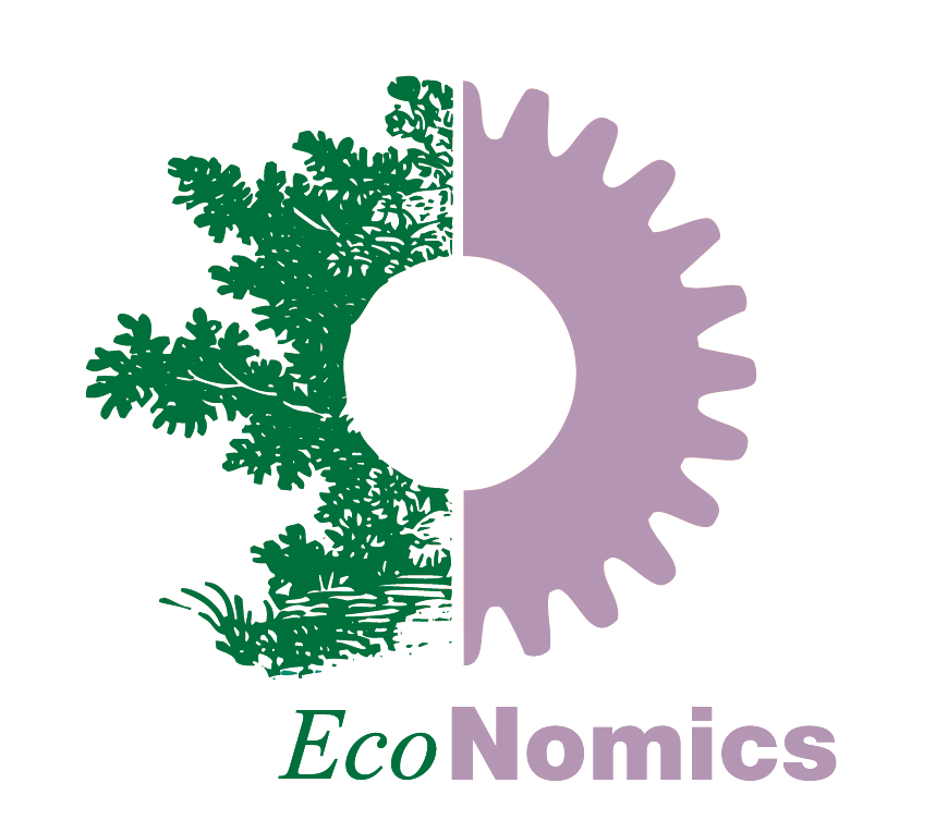 EcoNomics Inc