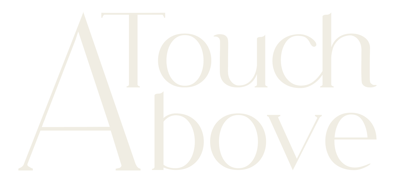 A Touch Above, Inc. Cleaning Service
