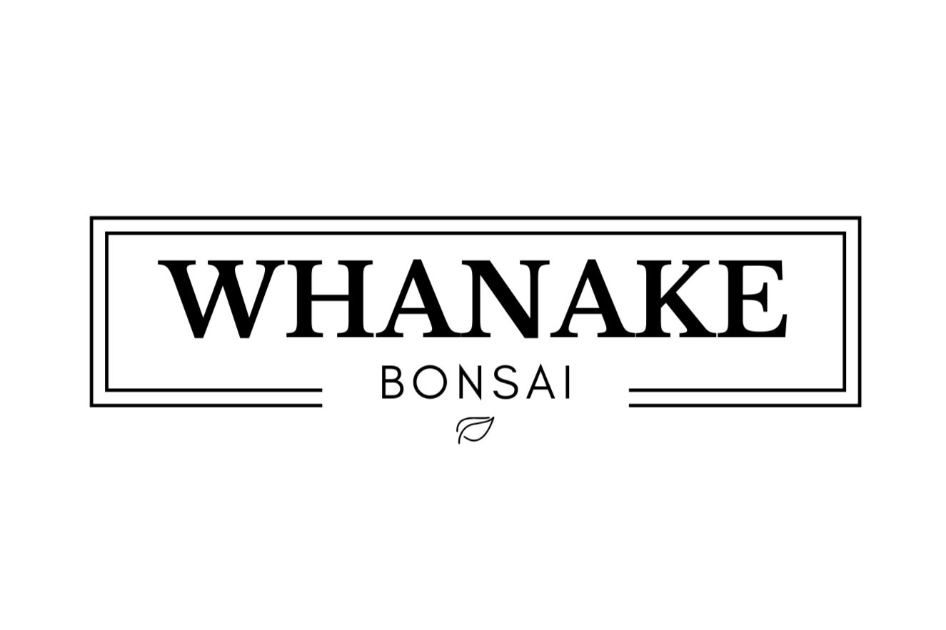 Whanake Bonsai