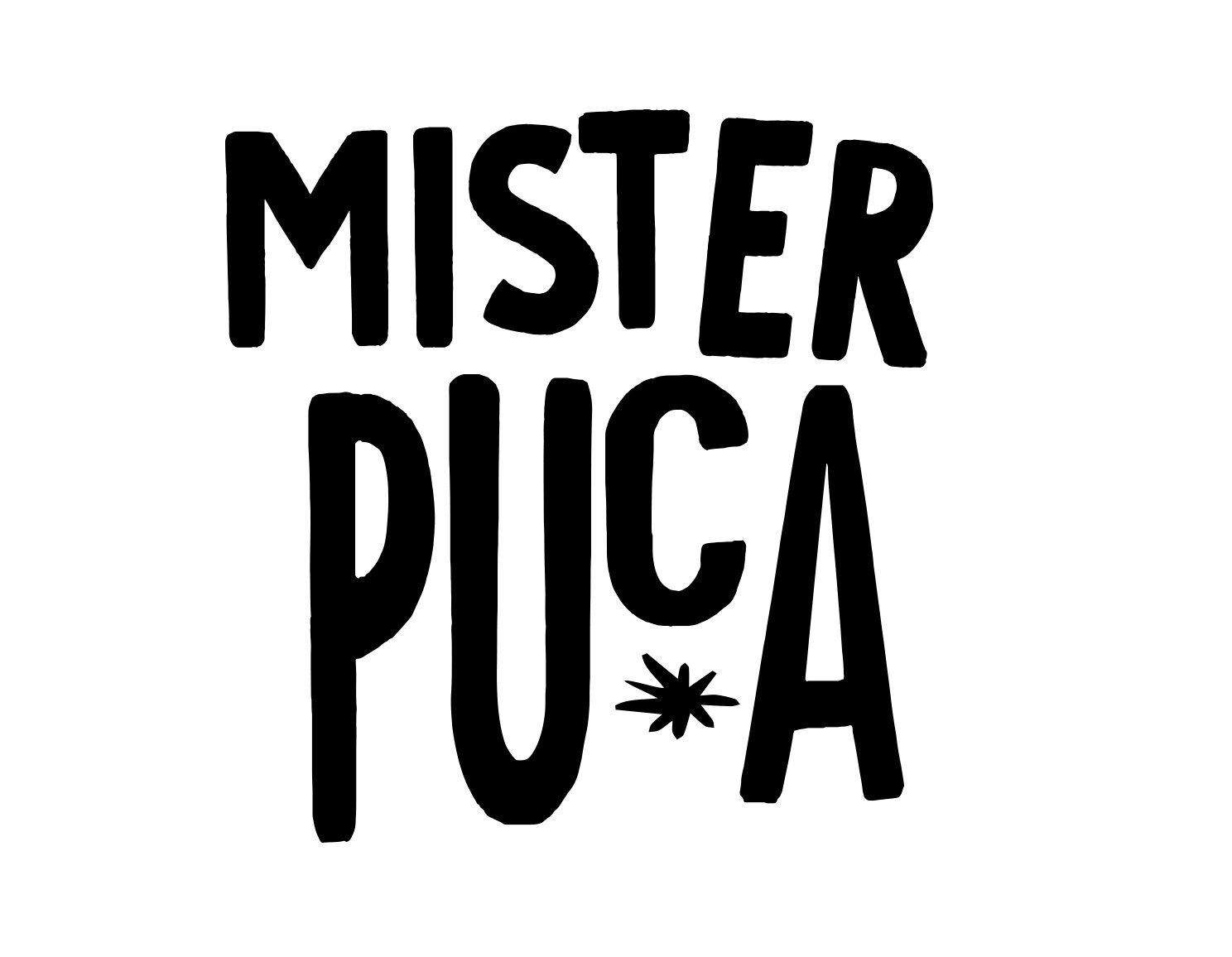 Mister Puca