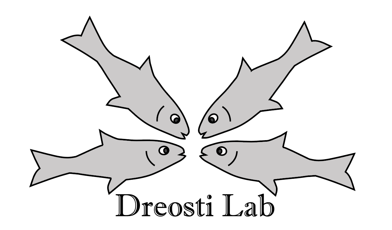 Dreosti Elena lab