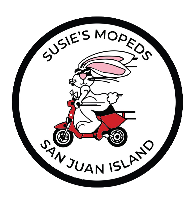 Susie&#39;s Mopeds