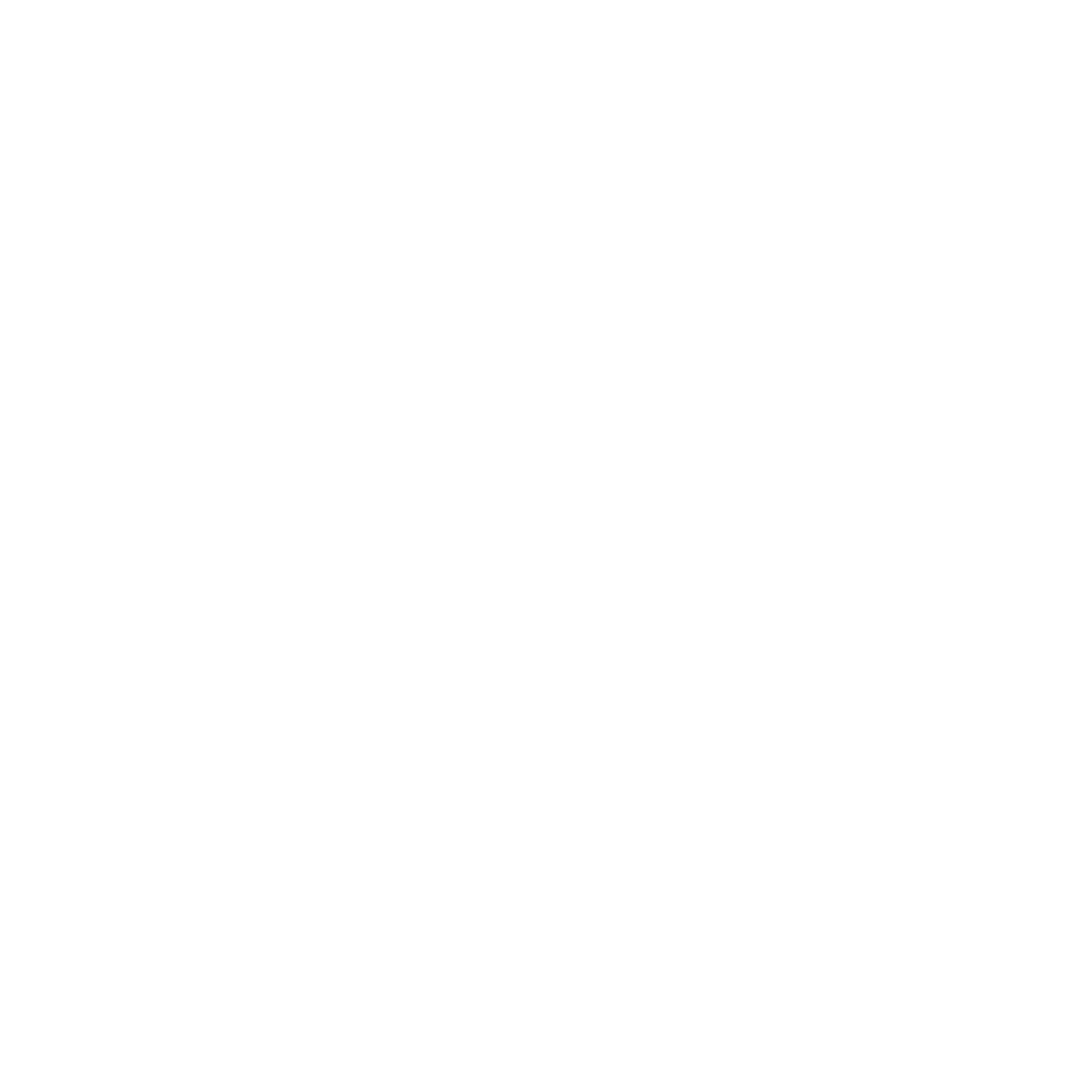 Apex International 