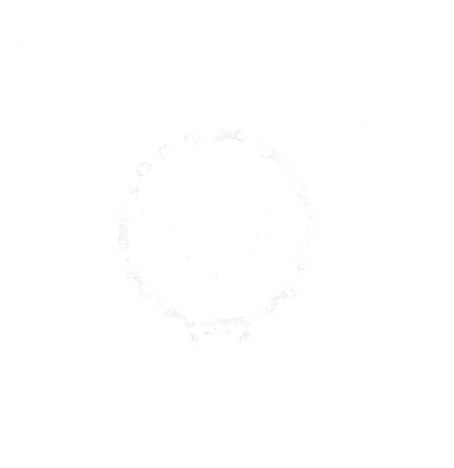 Scottish Cyclocross