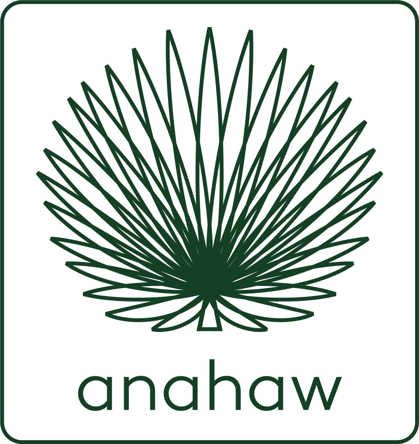 anahaw