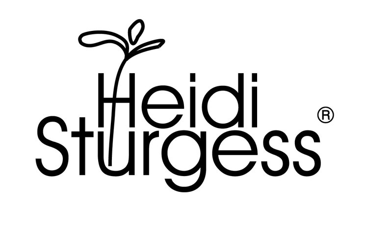Heidi Sturgess Studio