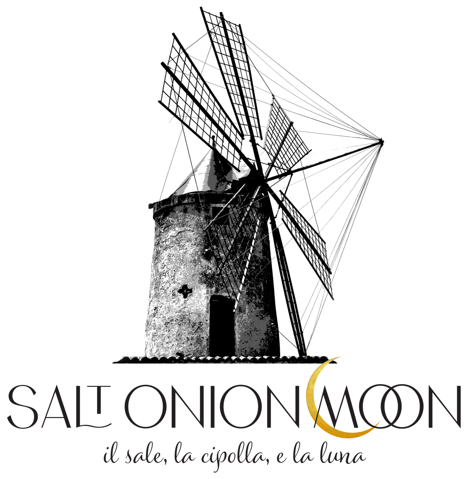 salt onion moon