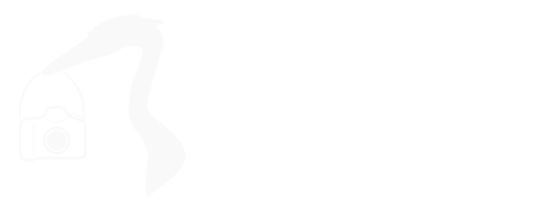 Chuq Von Rospach - Birds - Landscapes - Nature