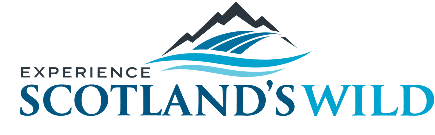 Scotland's Wild Tours: Book your 2025 Scotland Travel and Tours