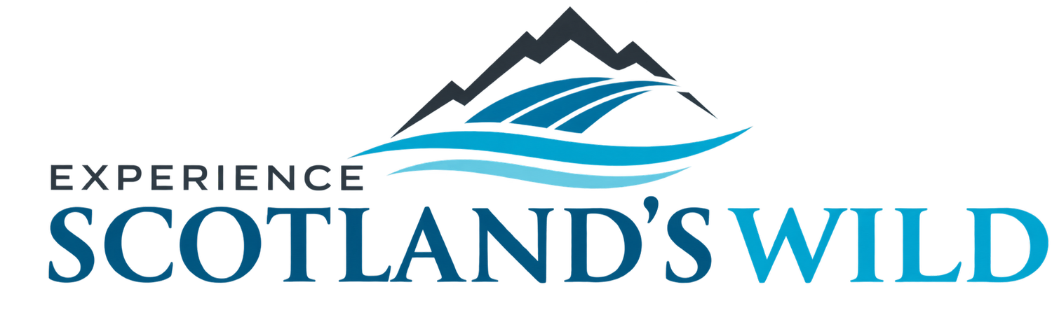 Scotland's Wild Tours: Book your 2025 Scotland Travel and Tours