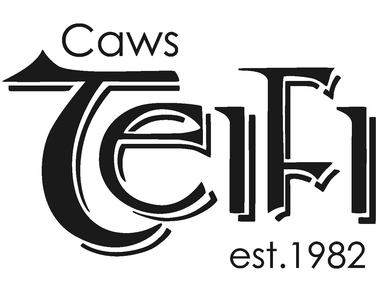 Caws Teifi Cheese