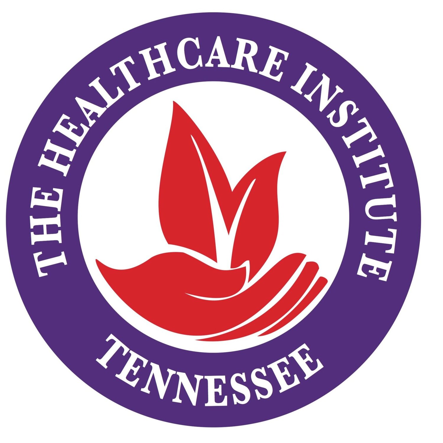The Healthcare Institute 