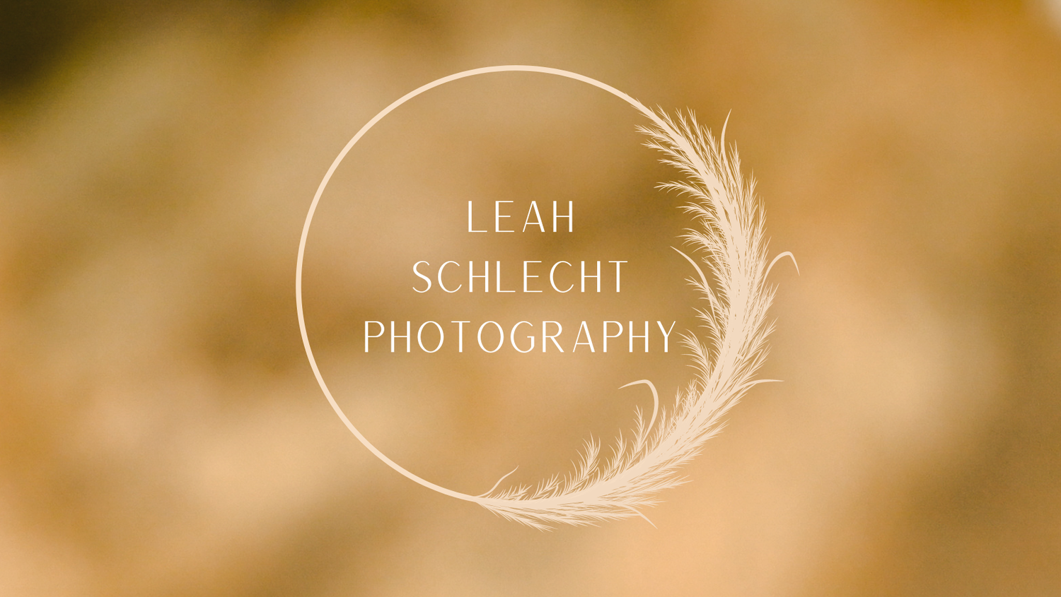 Leah Schlecht Photography
