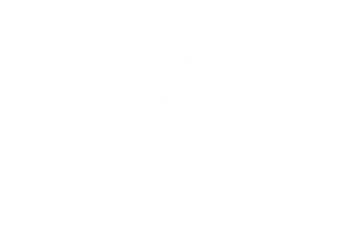Fluidity Therapeutic Mobile Massage