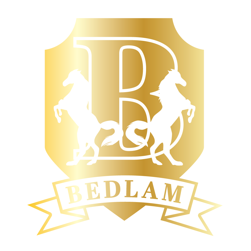 BEDLAM GOLD AND SILVER