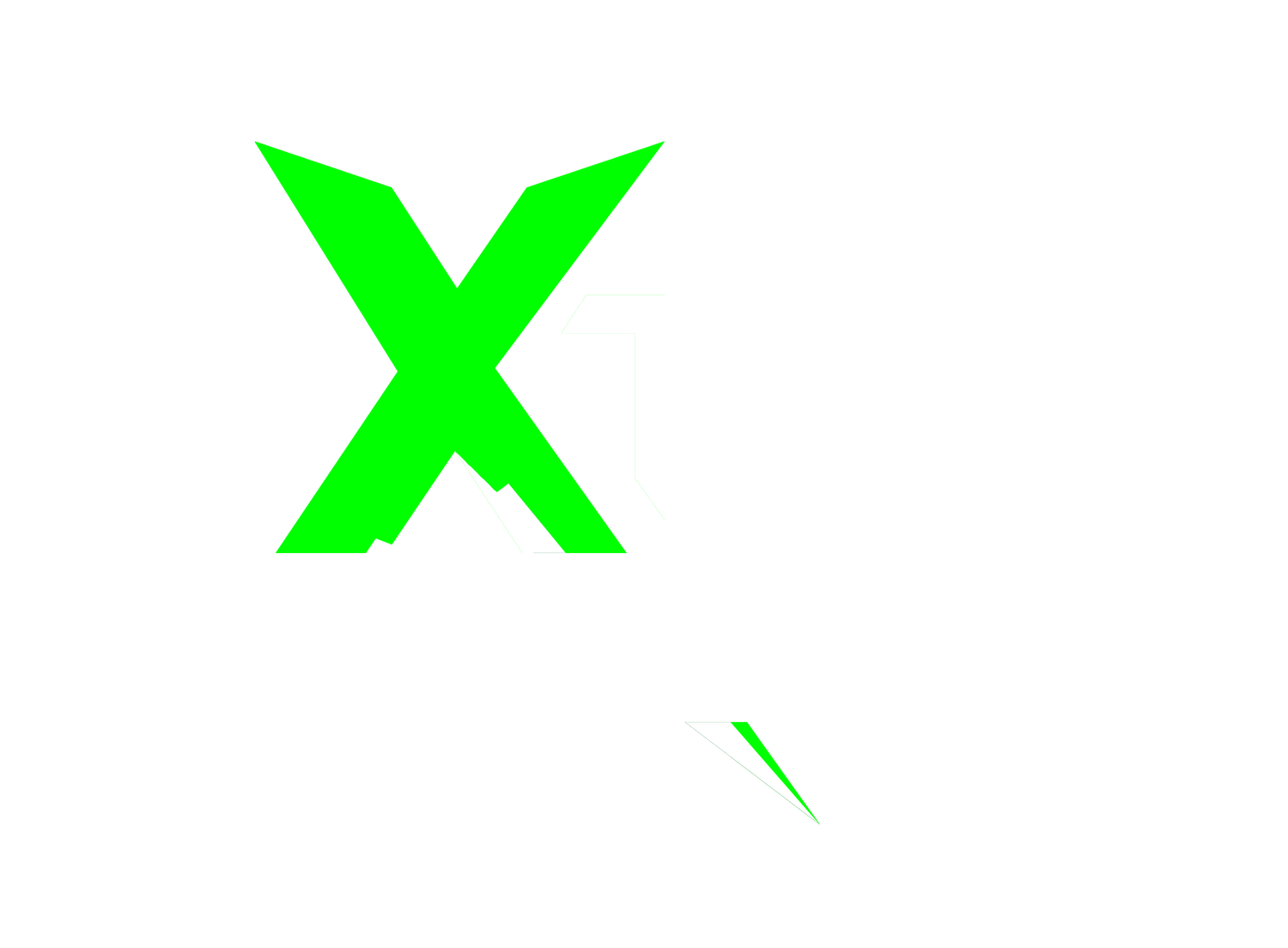THE XTRI XPERIENCE