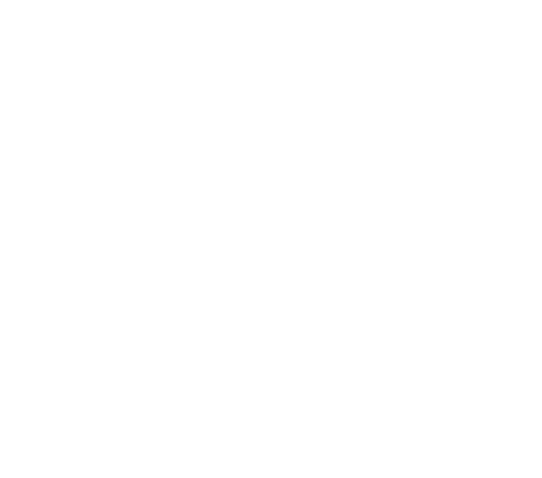 SALT Dev