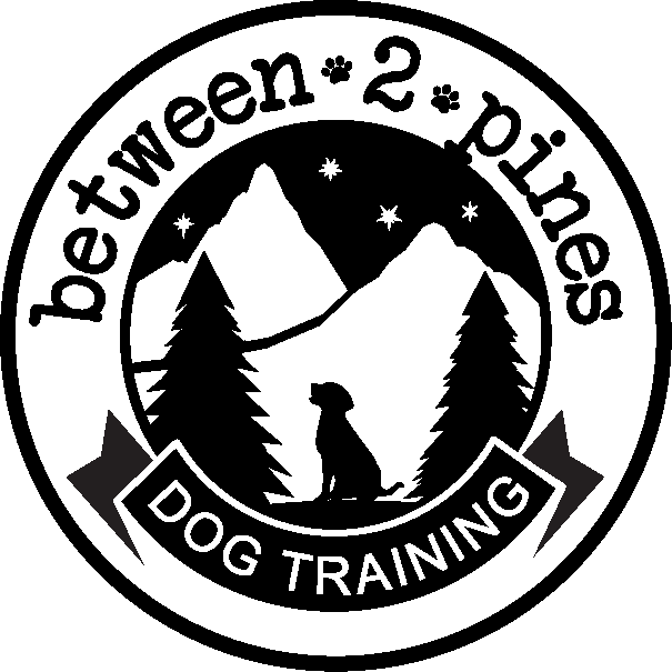 Between 2 Pines Dog Training