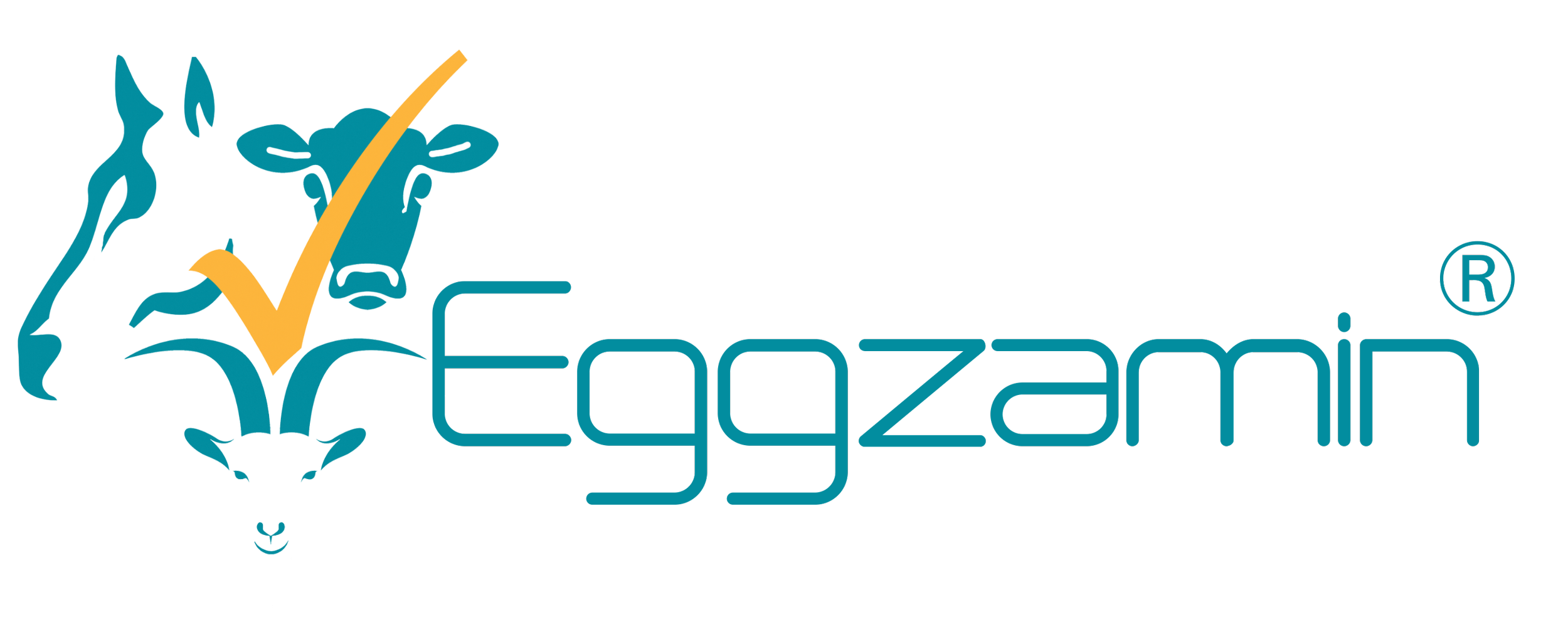 Eggzamin® FEC Test Kits