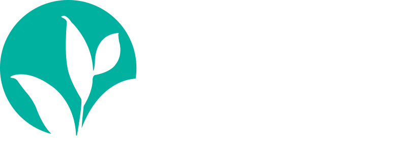 Ivonne Castro DDS • New Orleans Premier Cosmetic Dentist. Specializing in Porcelain Veneers, Restorative Dentistry, Sedation Dentistry, Invisalign Clear Braces and Wellness Dentistry.