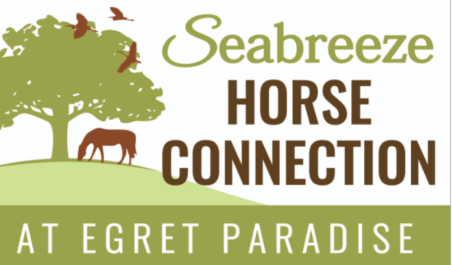 Seabreeze Horse Connection