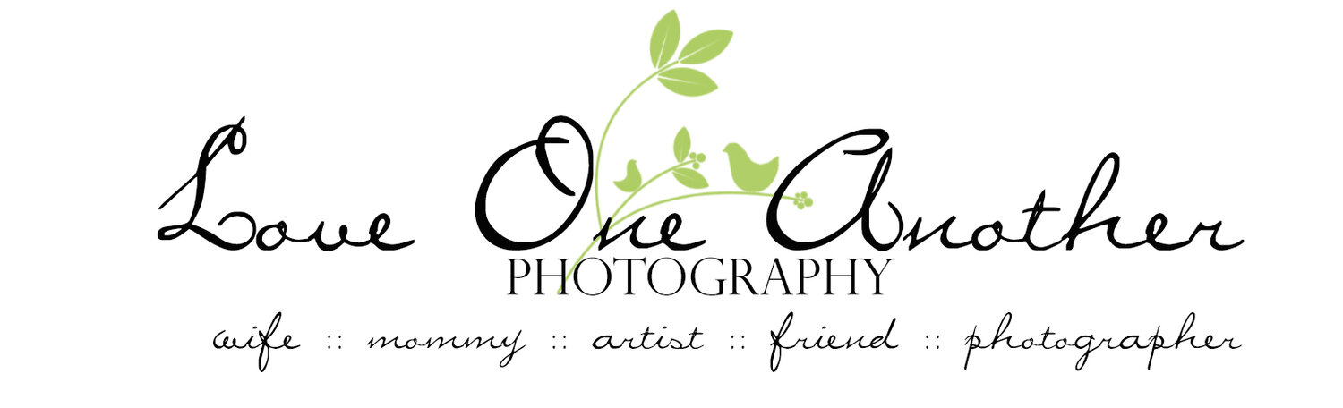 Real Estate &amp; Family Photographer
