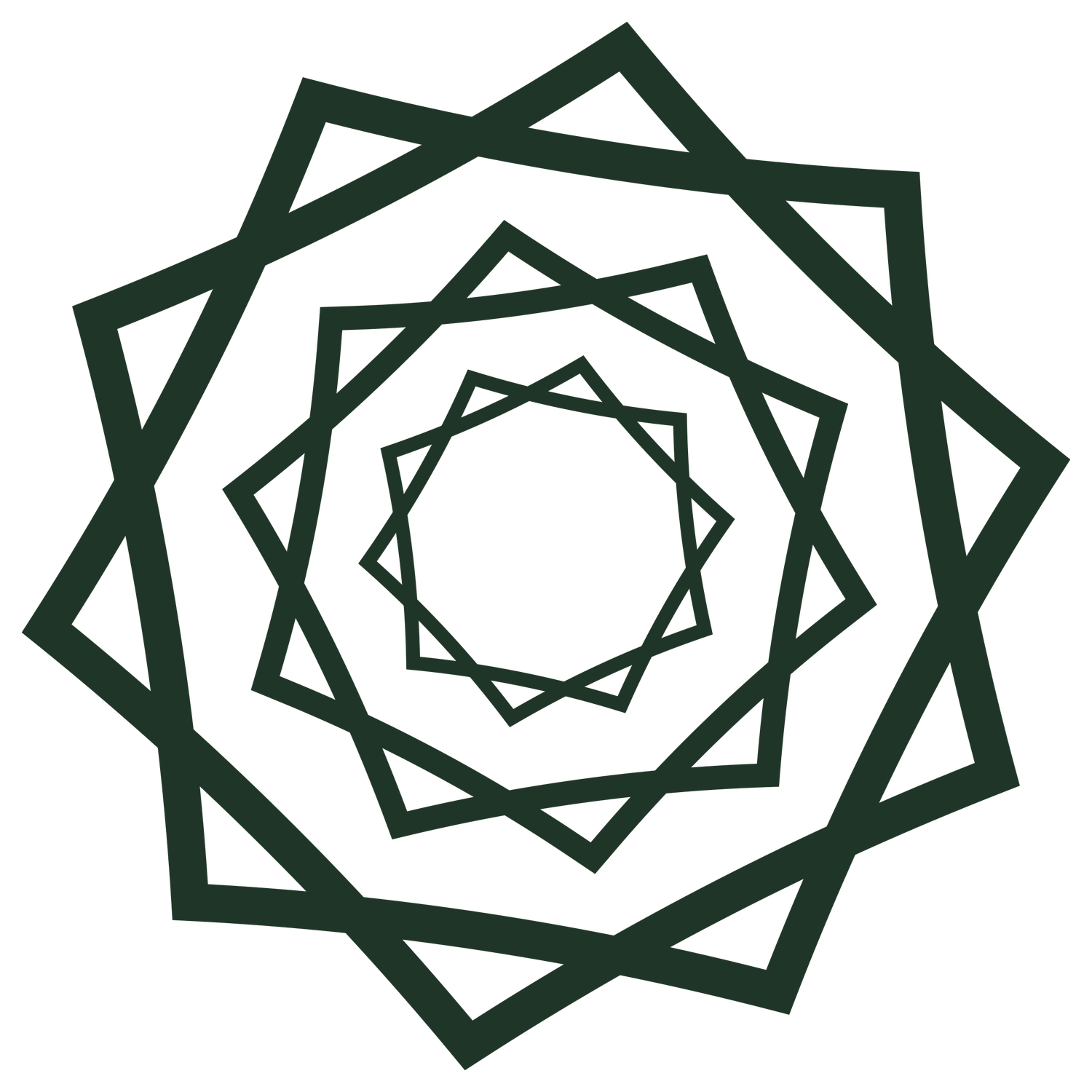 Kennedy Rose Image Studio