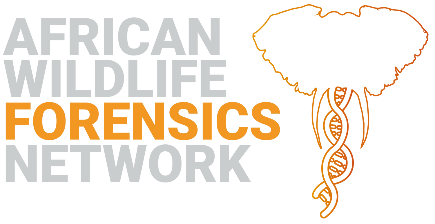 African Wildlife Forensics Network