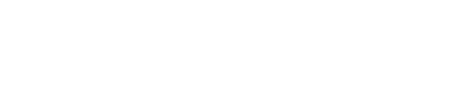 Zambrelli + Partners