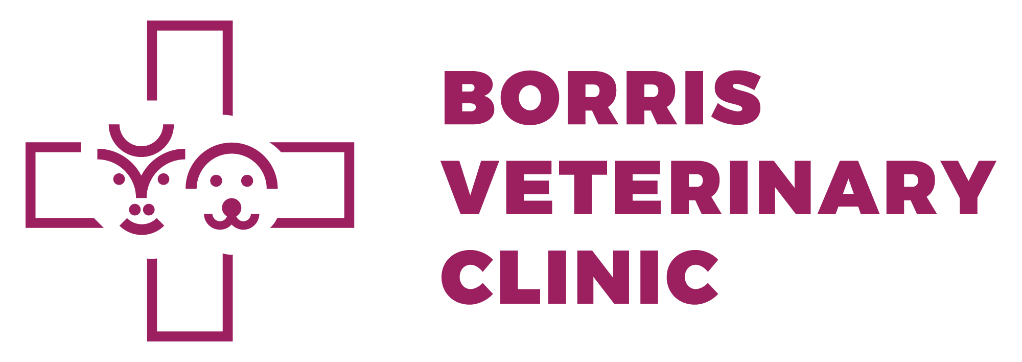 Borrisoleigh Veterinary Clinic