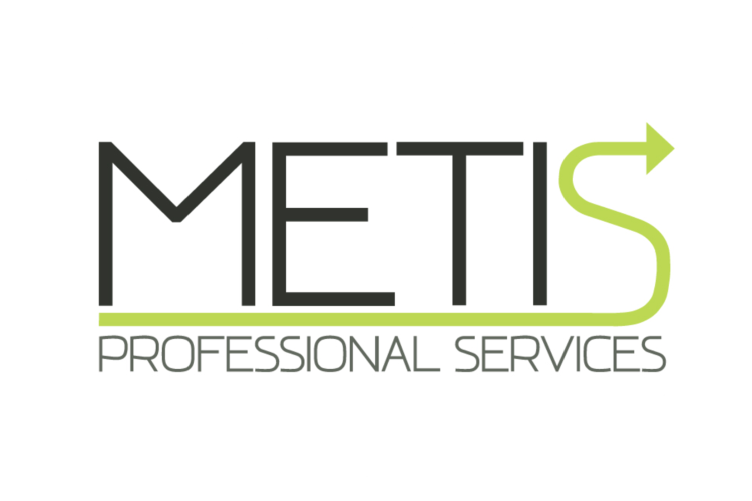 Metis Professional Services