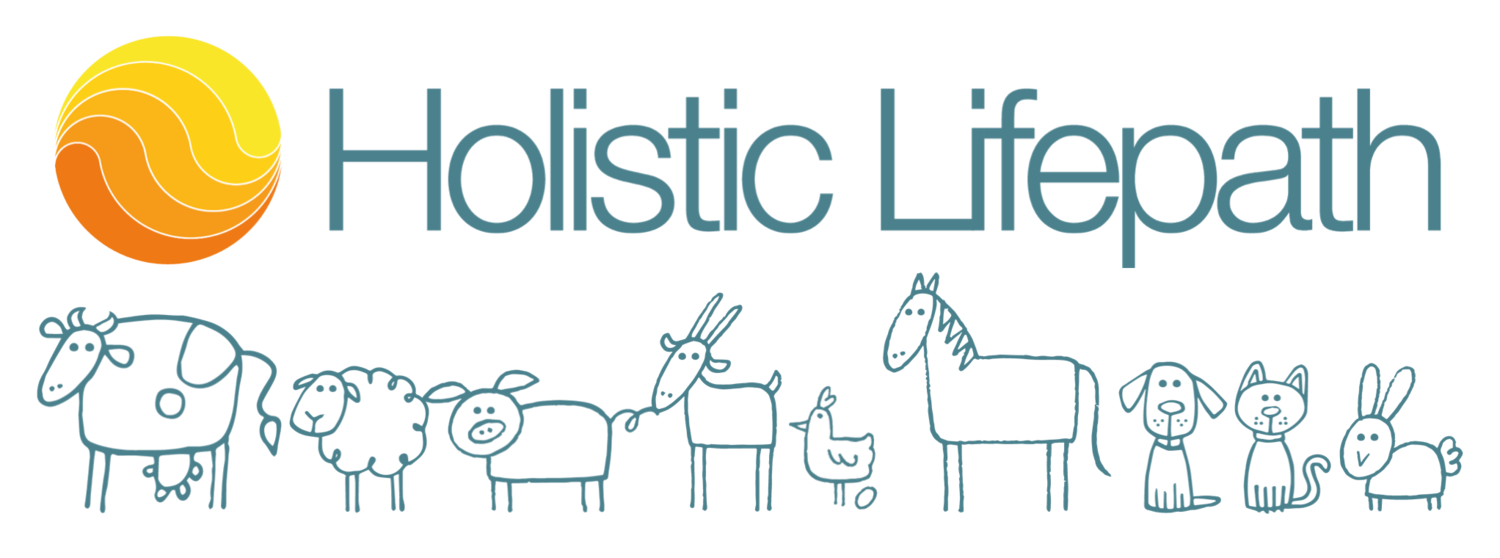 Holistic Lifepath
