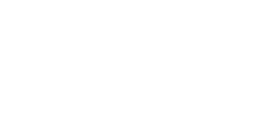 Skoogs