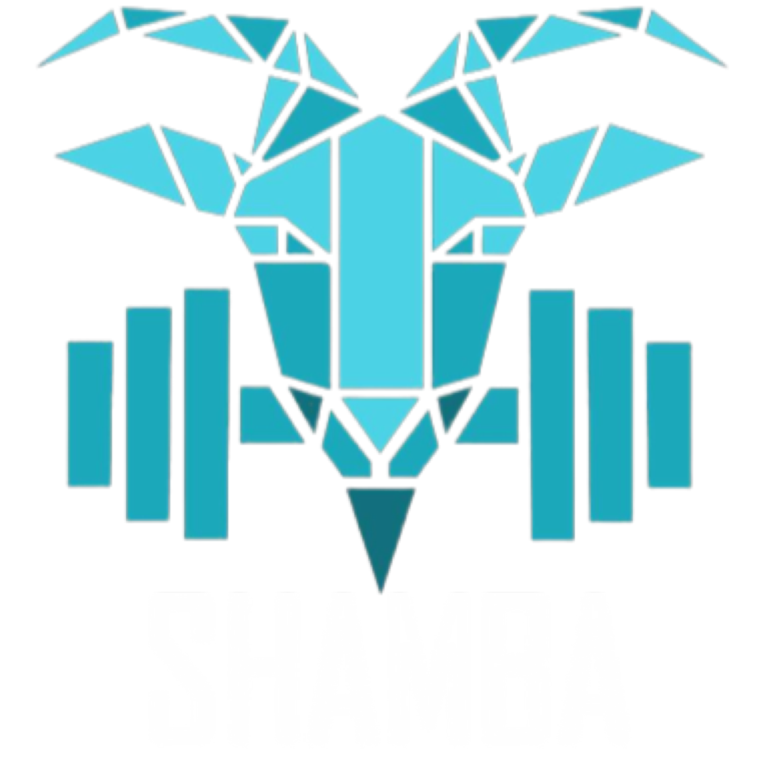 ShambaVibe