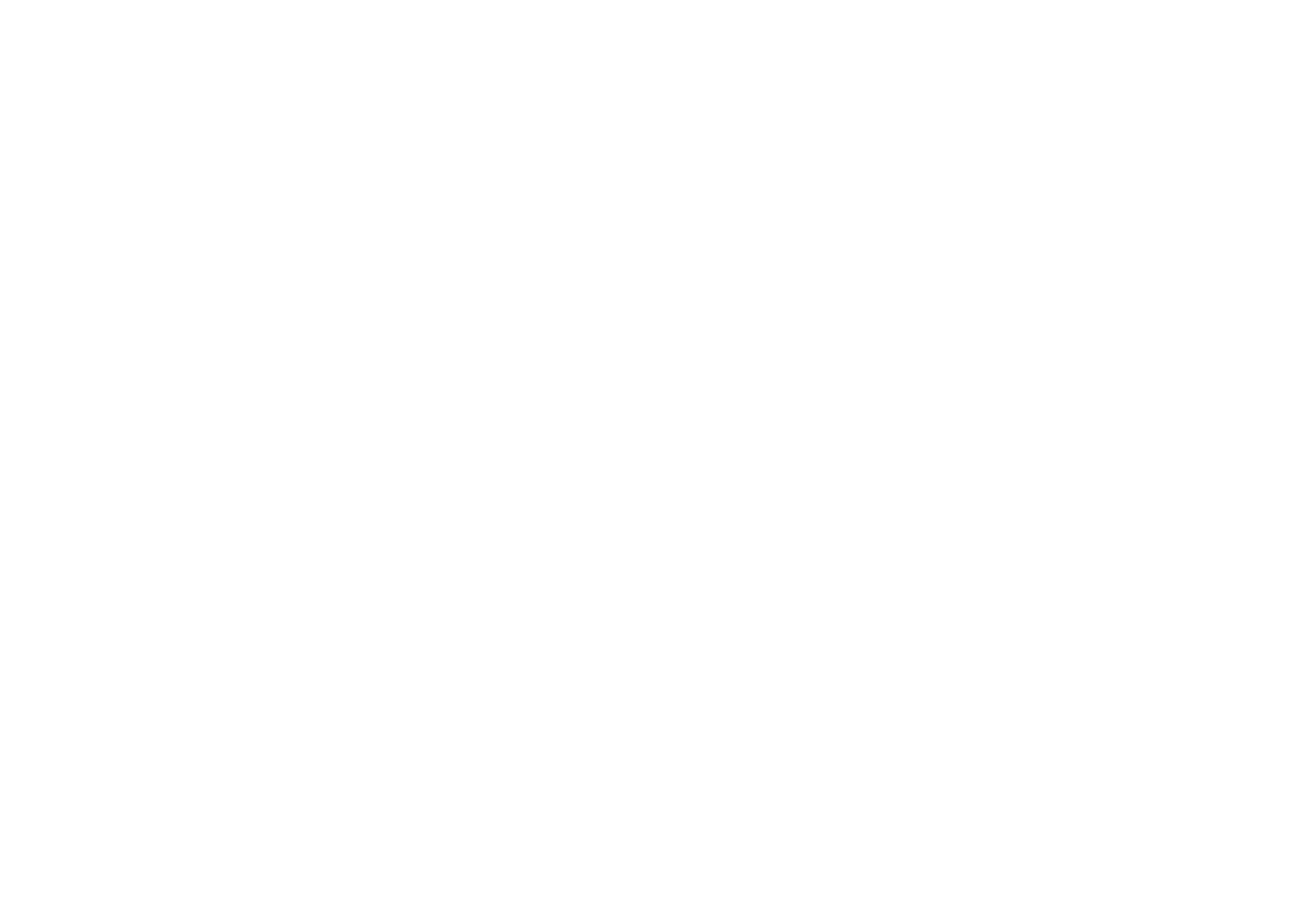 Barn Owl Art Studio