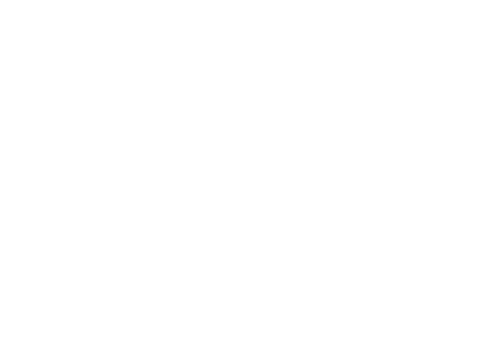 Hull House Group