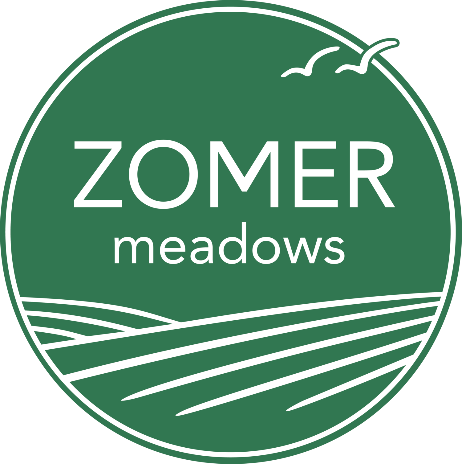 Zomer Meadows