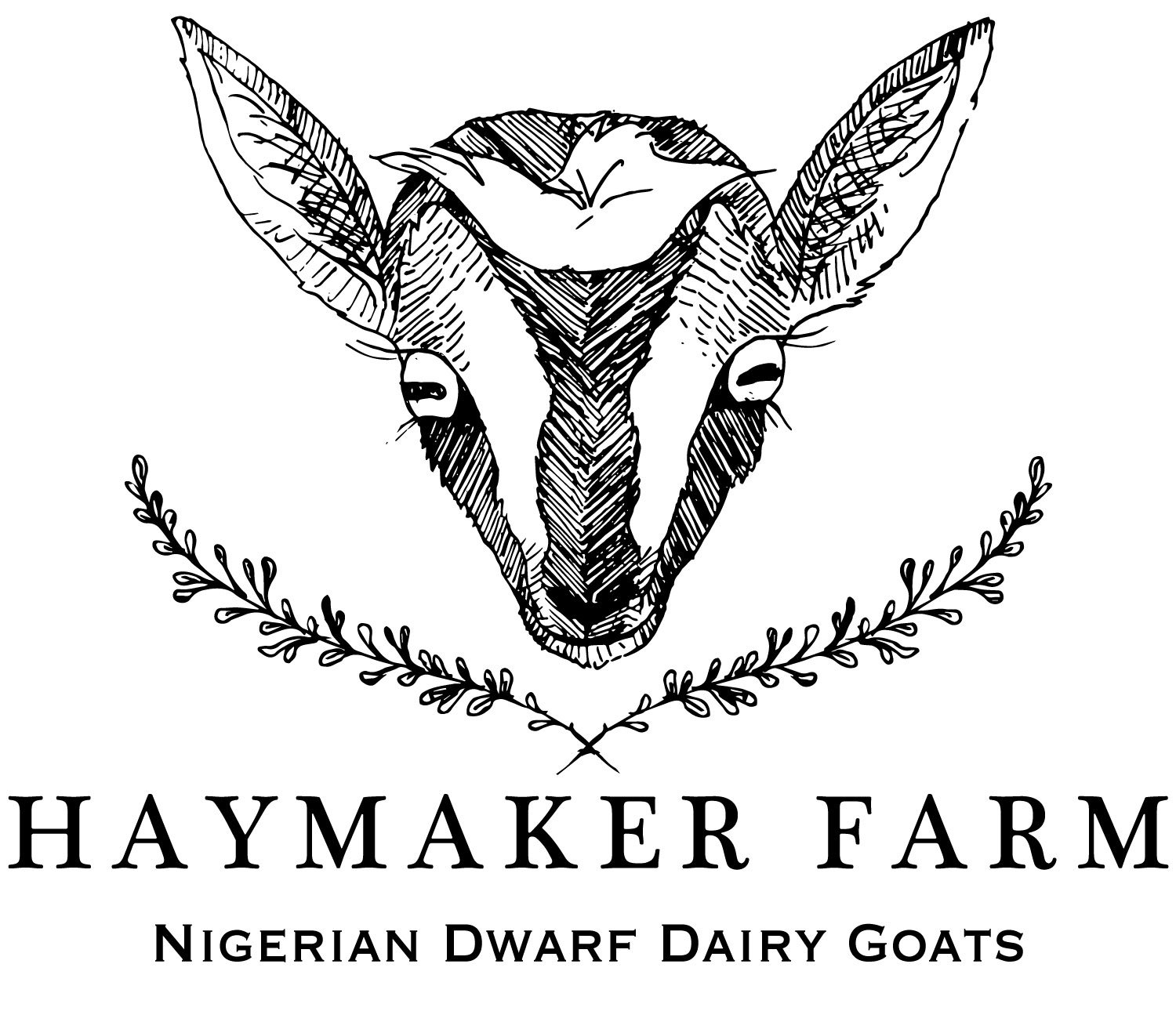 Haymaker Farm Nigerian Dwarf Goats