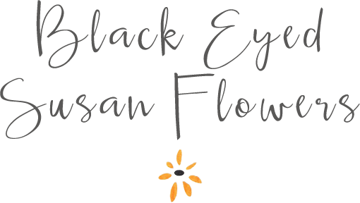 Black Eyed Susan Flowers